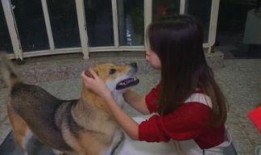 娱乐吃瓜酱大哥爱小狗,娱乐吃瓜酱大哥与小狗的温馨日常